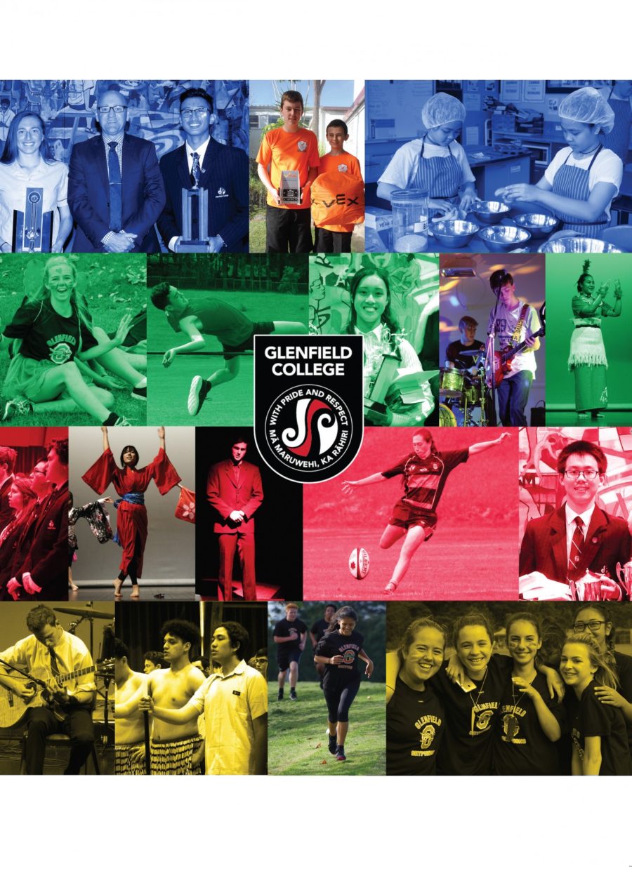 2017 Yearbook