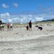 Year 13 Geography Trip