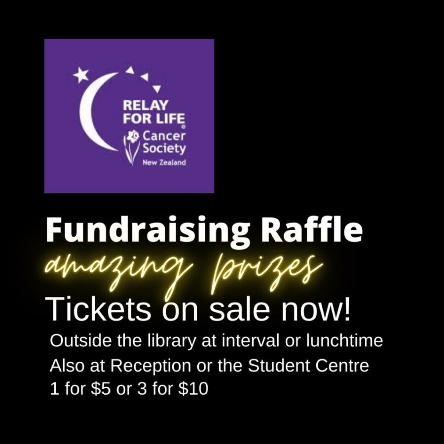 Relay for Life Fundraiser